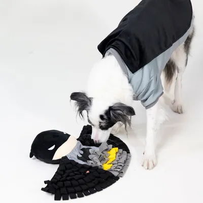 Warner Bros™ DC costume da cane Batman