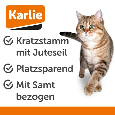 Tronc à griffer Karlie Atusa pour chat