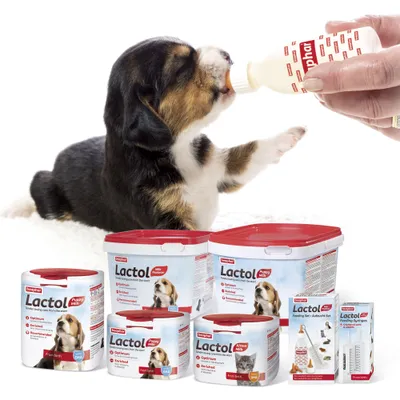 Puppy being bottle-fed with Beaphar Lactol milk replacer, surrounded by various Lactol puppy and kitten milk products and feeding accessories.