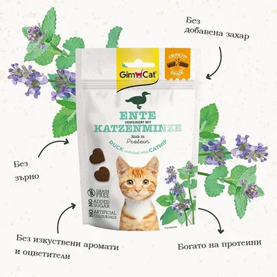 GimCat ENTE KATZENMINZE лакомства за котки с патица и котешка мента. Без зърно, без добавена захар, без изкуствени аромати и оцветители. Богато на протеини.