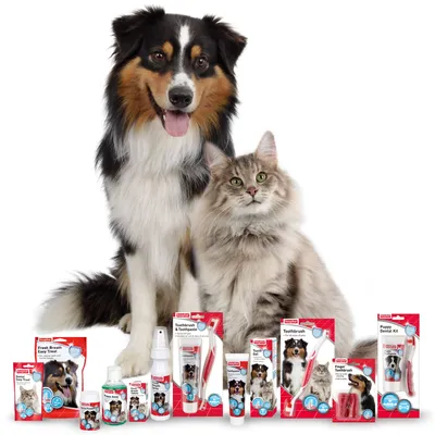 Selection of dental care products in packaging, including toothbrushes, toothpaste, sprays and treats, displayed in front of a dog and a cat.