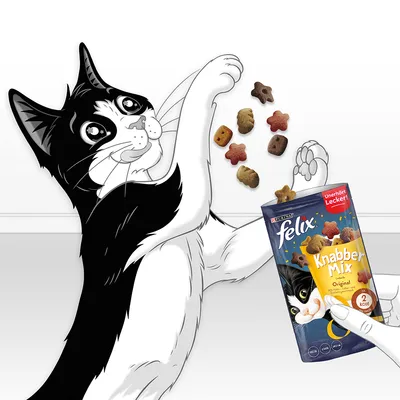 Envase de snacks para gatos Felix Knabber Mix Original, con ilustración de gato y formas variadas de premios. Texto visible: 'Unverschämt Lecker!', '2 kcal'.