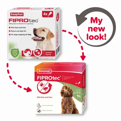 Image showing old and new packaging for FIPROtec 268mg spot-on solution, kills fleas and ticks, easy to use, for dogs weighing 20-40kg. Text: My new look!