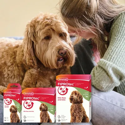 Three boxes of FIPROtec flea and tick treatment displayed in front of a dog, with visible text stating 'Kills fleas and ticks' and dosage information for different weight ranges.