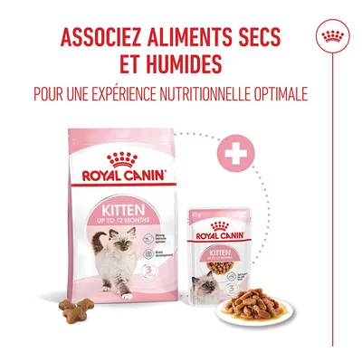 Royal Canin Kitten jusqu'à 12 mois, aliments secs et humides, recommandation : combinaison pour une expérience nutritionnelle optimale. Visible : emballages et gamelle. Royal Canin Kitten jusqu'à 12 mois, aliments secs et humides, recommandation : combinaison pour une expérience nutritionnelle optimale. Visible : emballages et gamelle.