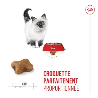 Morceau de nourriture pour chat avec indication de taille 1 cm, à côté un chat et une gamelle. Texte : Croquette parfaitement proportionnée. Morceau de nourriture pour chat avec indication de taille 1 cm, à côté un chat et une gamelle. Texte : Croquette parfaitement proportionnée.
