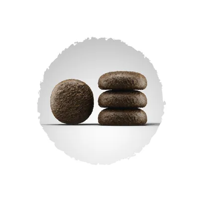 Croquettes rondes marron foncé, une posée debout et trois empilées à côté, sur fond blanc. Aucun texte ou marque visible.