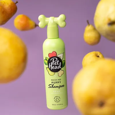 Pet Head Mucky Pup shampoo per cuccioli con pera e camomilla, 300 ml. Contiene estratti naturali di oli.