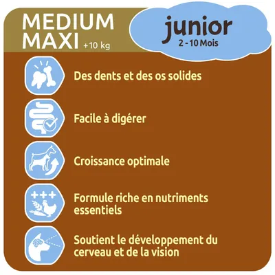 MEDIUM MAXI +10 kg junior 2–10 mois. Des dents et des os solides, facile à digérer, croissance optimale, formule riche en nutriments essentiels, soutient cerveau et vision.