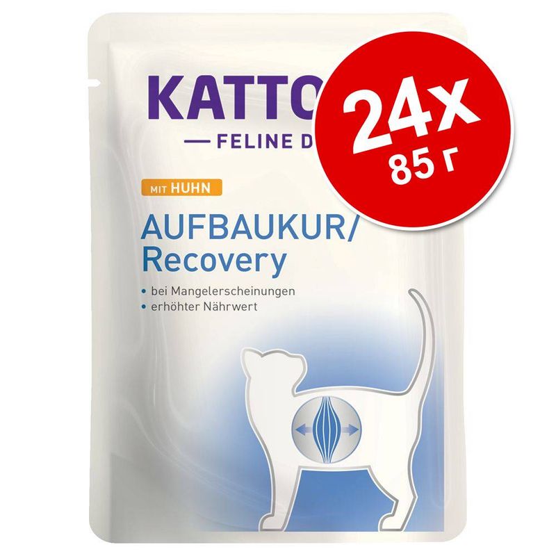 Kattovit Aufbaukur в паучове 24 x 85 г