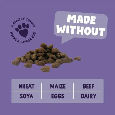 Dry pet food shown with text: Made without wheat, soya, maize, eggs, beef, or dairy. Includes message: A healthy tummy means a happier dog.