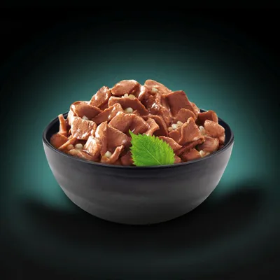 Bowl filled with chunks of wet pet food in gravy, garnished with a green leaf. No visible brand or text.
