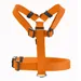 HUNTER Geschirr London Vario Rapid, orange