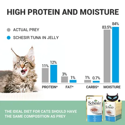 Usporedni graf sastava: Schesir Tuna in Jelly ima 12 % proteina, 1 % masti, 0,7 % ugljikohidrata, 84 % vlage; prikaz pakiranja Schesir hrane za mačke. Tekst na engleskom jeziku.