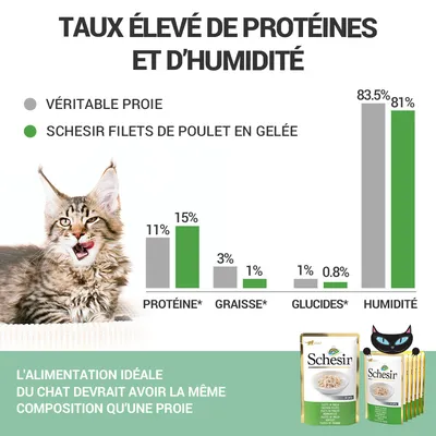 Comparatif Schesir filets de poulet en gelée vs véritable proie : protéines 15 %/11 %, graisses 1 %/3 %, glucides 0,8 %/1 %, humidité 81 %/83,5 %. Texte : alimentation idéale du chat.