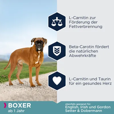Eukanuba Breed Boxer tørrfôr