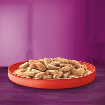 Assiette rouge remplie de bouchées en sauce pour animaux, posée sur une table violette. Aucun emballage ni marque visible.