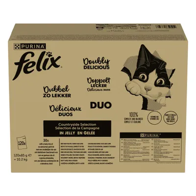 Jumbopack Felix "Aussi bon que beau" 120 x 85 g pour chat