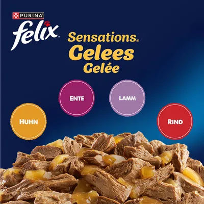 Jumbopack Felix "Sensations" Pouches 120 x 85 g - Geschmacksvielfalt vom Land (Rind, Huhn, Ente & Lamm) Jumbopack Felix "Sensations" Pouches 120 x 85 g - Geschmacksvielfalt vom Land (Rind, Huhn, Ente & Lamm)