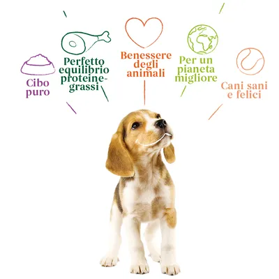 Cibo puro, perfetto equilibrio proteine-grassi, benessere degli animali, per un pianeta migliore, cani sani e felici. Testo promozionale con disegni sopra un cucciolo di cane.