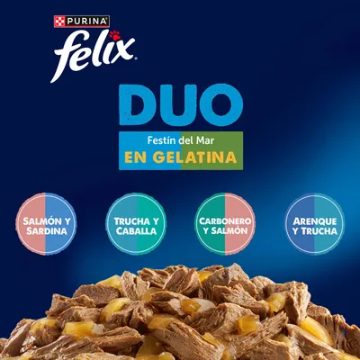 Felix Fantastic Doblemente Bueno 12 x 85 g - Carbonero y salmón, salmón y sardinas, arenque y trucha, trucha y caballa