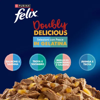 Felix Le Ghiottonerie Doppia Delizia 12 x 85 g - Salmone & Merluzzo, Sardine & Salmone, Trota & Aringa, Sgombro & Trota Felix Le Ghiottonerie Doppia Delizia 12 x 85 g - Salmone & Merluzzo, Sardine & Salmone, Trota & Aringa, Sgombro & Trota