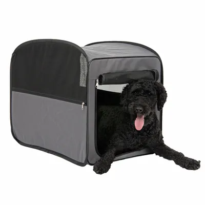 Trasportino in tessuto grigio con finestre a rete, cane sdraiato rilassato all’ingresso del trasportino.