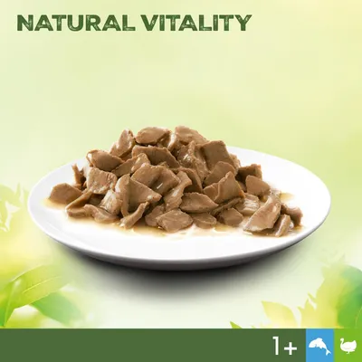 Natural Vitality. Mokra karma na białym talerzu, odpowiednia dla kotów i psów od 1 roku. Kurczak jako główny składnik.