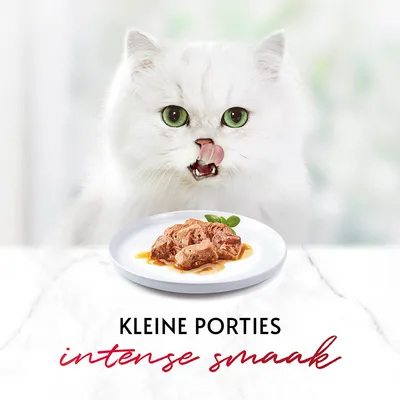 Bord met kleine porties natvoer. Tekst: 'KLEINE PORTIES intense smaak'.
