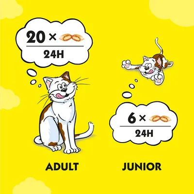 Preporučena dnevna količina: odrasla mačka 20 komada, mačić 6 komada u 24 sata. Prikazano uz ilustracije mačke i mačića.