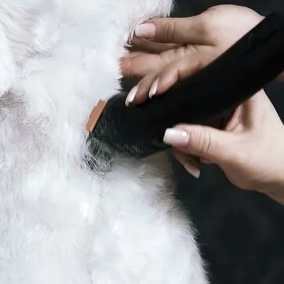 Moser Arco Pro WAHL® Tondeuse