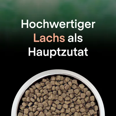 Texte en allemand : Hochwertiger Lachs als Hauptzutat. Bol de croquettes visibles en bas de l’image.