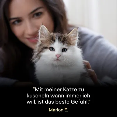 Texte en allemand : “Mit meiner Katze zu kuscheln wann immer ich will, ist das beste Gefühl.” Marion E.