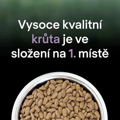 Vysoko kvalitní krůta je ve složení na 1. místě. Miska s granulemi.