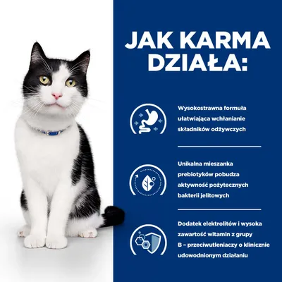 Grafika z trzema punktami: łatwostrawna formuła, unikalna mieszanka prebiotyków dla bakterii jelitowych, dodatek elektrolitów i witamin z grupy B o klinicznie potwierdzonym działaniu. Grafika z trzema punktami: łatwostrawna formuła, unikalna mieszanka prebiotyków dla bakterii jelitowych, dodatek elektrolitów i witamin z grupy B o klinicznie potwierdzonym działaniu.
