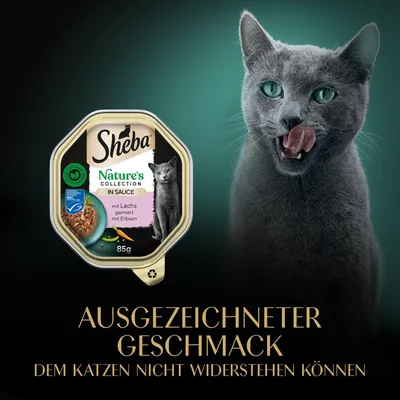 Sheba Nature's Collection in Sauce, mit Lachs garniert mit Erbsen, 85g. Ausgezeichneter Geschmack, dem Katzen nicht widerstehen können.