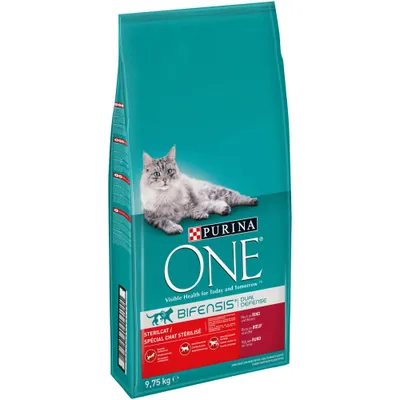 Purina ONE Bifensis Dual Defense Sterilcat dry cat food, 9.75 kg bag, visible text includes 'Visible Health for Today and Tomorrow', beef flavour, image of a grey cat on front.