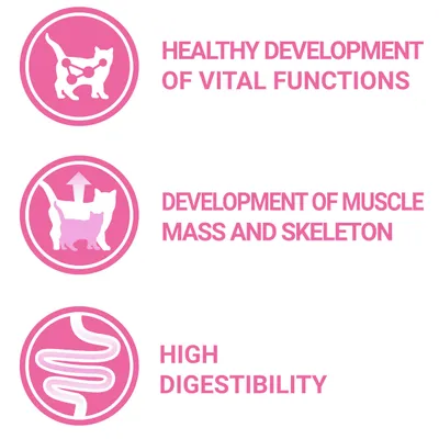 Tekst på engelsk: Healthy development of vital functions, Development of muscle mass and skeleton, High digestibility. Tre ikoner med kat og tarmgrafik.