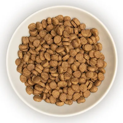 Bowl filled with round, brown dry pet food kibble pieces, showing product shape and texture for assessing size and appearance before purchase.