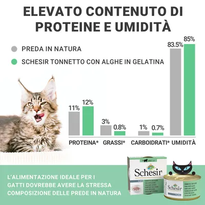 Grafico a barre: confronto tra preda in natura e Schesir tonnetto con alghe in gelatina per proteine, grassi, carboidrati, umidità. Testo: elevato contenuto di proteine e umidità.