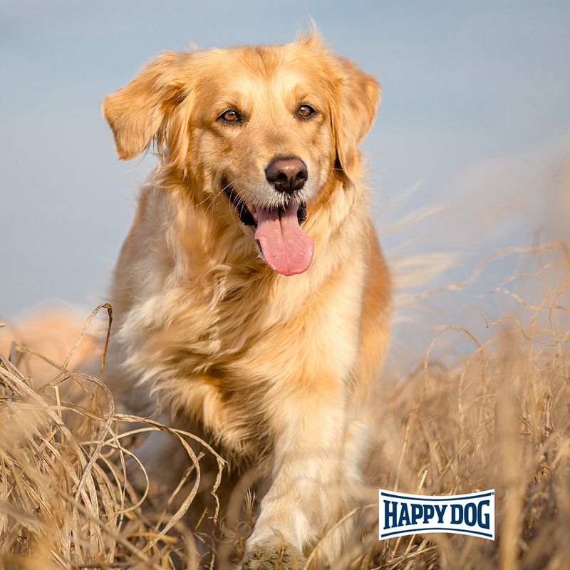 Happy Dog NaturCroq Mini Bone Pollo
