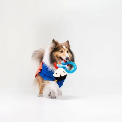 Warner Bros.™ DC Jouet pour chien Superman avec anneau