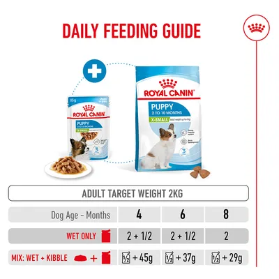 Feeding table for Royal Canin Puppy X-Small with an adult weight of 2 kg: wet food or a combination of wet and dry food, quantities indicated by age in months (4, 6, 8).