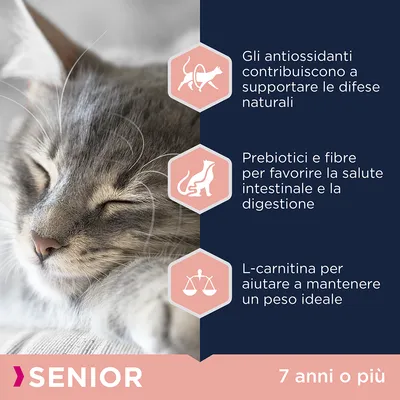 Gli antiossidanti contribuiscono a supportare le difese naturali. Prebiotici e fibre per la salute intestinale. L-carnitina per mantenere un peso ideale. Senior 7 anni o più.