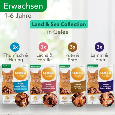 IAMS Delights Land & Sea Collection in Gelee, pour chats adultes 1–6 ans, 12 sachets : 3x thon & hareng, 3x saumon & truite, 3x dinde & canard, 3x agneau & foie. Texte en allemand/anglais.