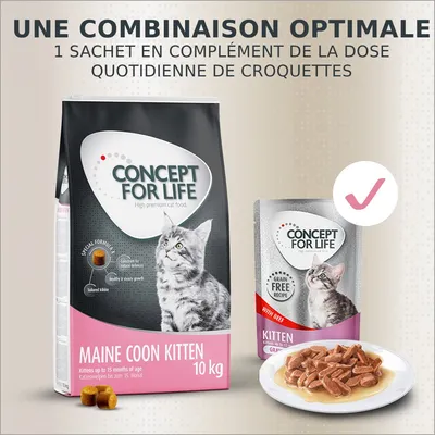 Concept for Life Maine Coon Kitten 10 kg, sachet Kitten avec bœuf, croquettes et pâtée sur assiette. Texte : Une combinaison optimale, 1 sachet en complément de la dose quotidienne de croquettes.