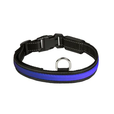 Schwarzes Halsband mit blauer reflektierender Streifen, Kunststoffverschluss und Metallring.