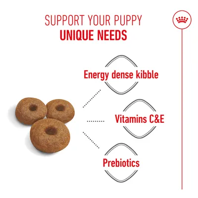 Three kibbles with text: Energy dense kibble, Vitamins C&E, Prebiotics. Supports the special needs of puppies. Three kibbles with text: Energy dense kibble, Vitamins C&E, Prebiotics. Supports the special needs of puppies.