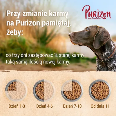 Instrukcja zmiany karmy na Purizon: co trzy dni zastępować ¼ starej karmy nową. Dzień 1–3, dzień 4–6, dzień 7–10, od dnia 11 – wizualizacja proporcji w misce.