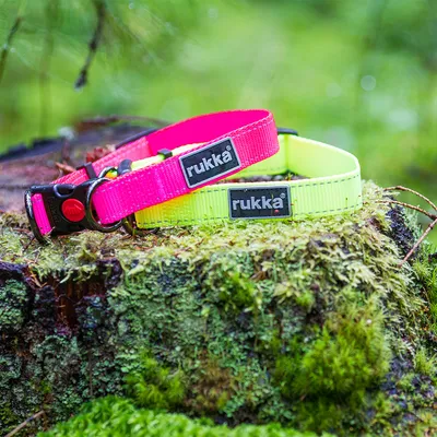 Rukka® Set: Bliss Neon Halsband & Leine